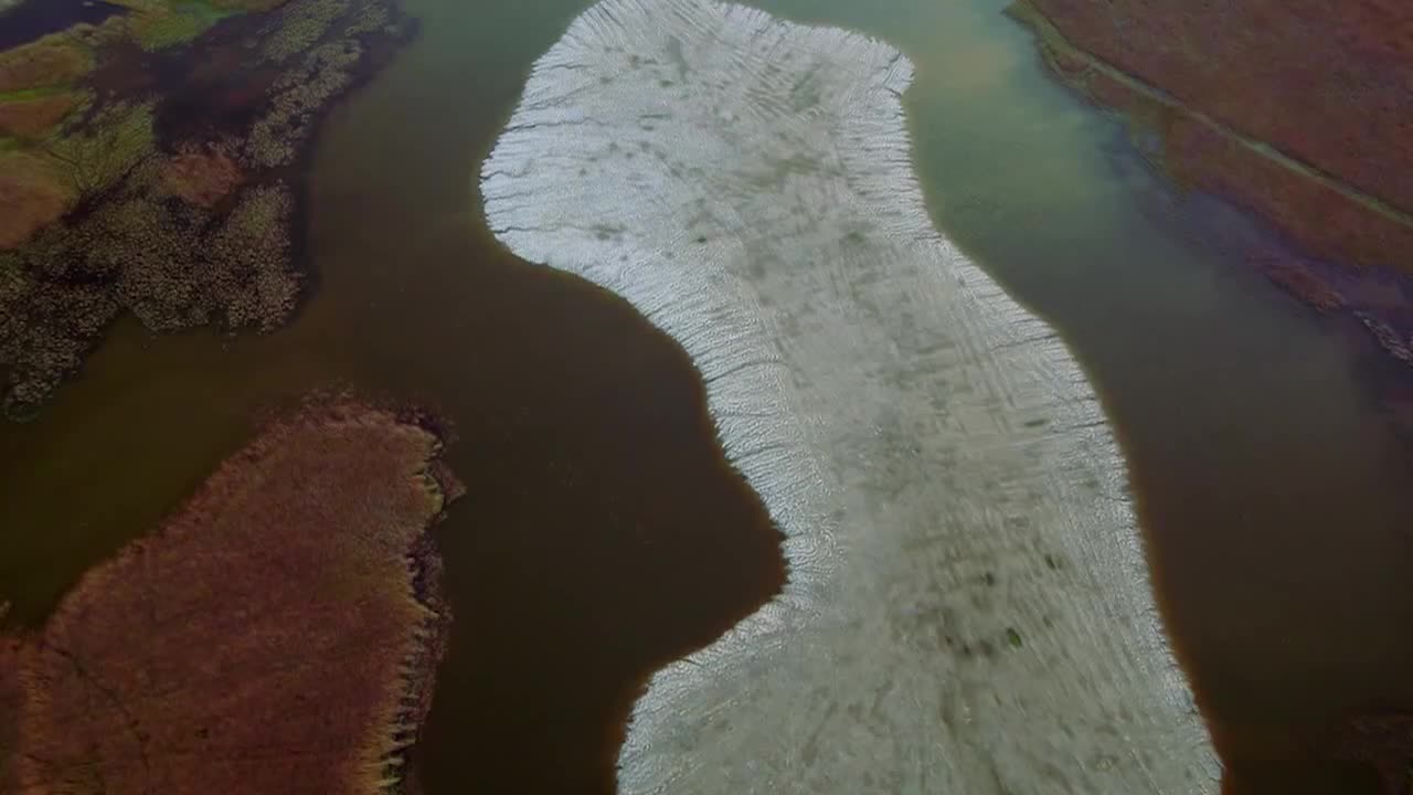 Amazing China 美丽中国 27.麋鹿回家的故事