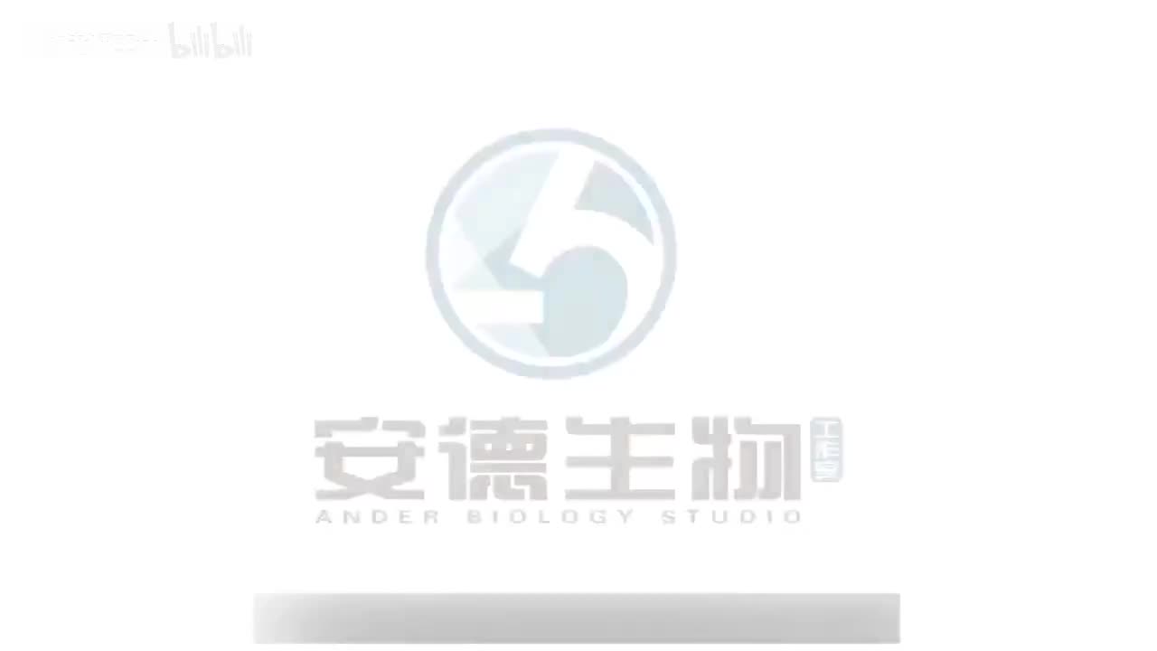 03.病毒完全解读