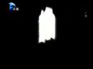 维科金能语音王手机