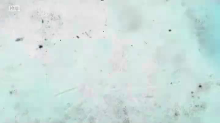 【聂远版】潜·龙_第03集