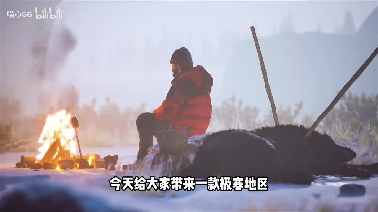 （一）为了抵御极寒地区的暴风雪，我建造了一个温暖庇护所！