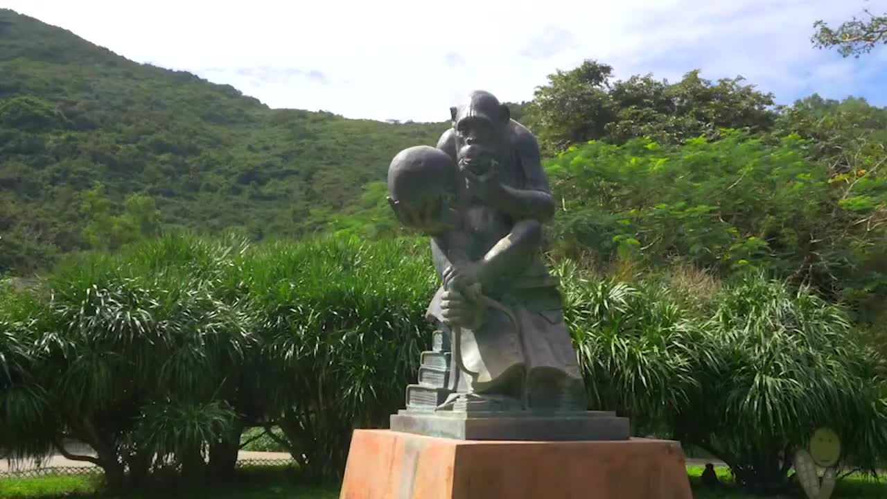 054-临海的猕猴乐园 (海南陵水)