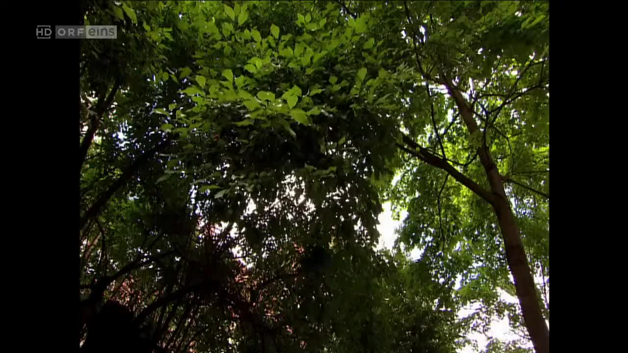 Türkisch für Anfänger (Season 2 Episode 1) Watch German TV series (German Subtit