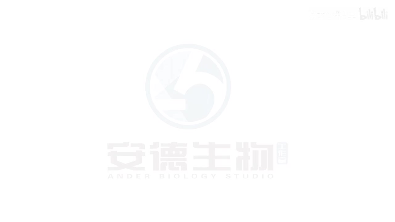 27.生物的进化