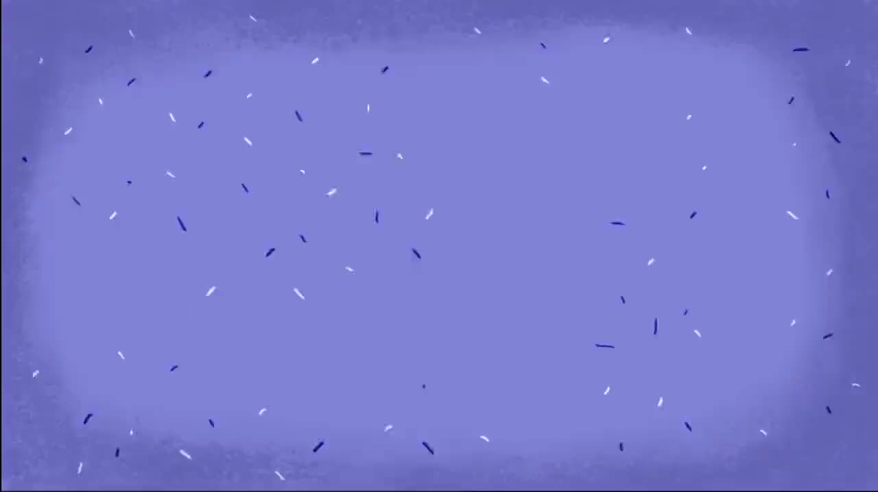 2. 【072】I Saved My Dog From Death