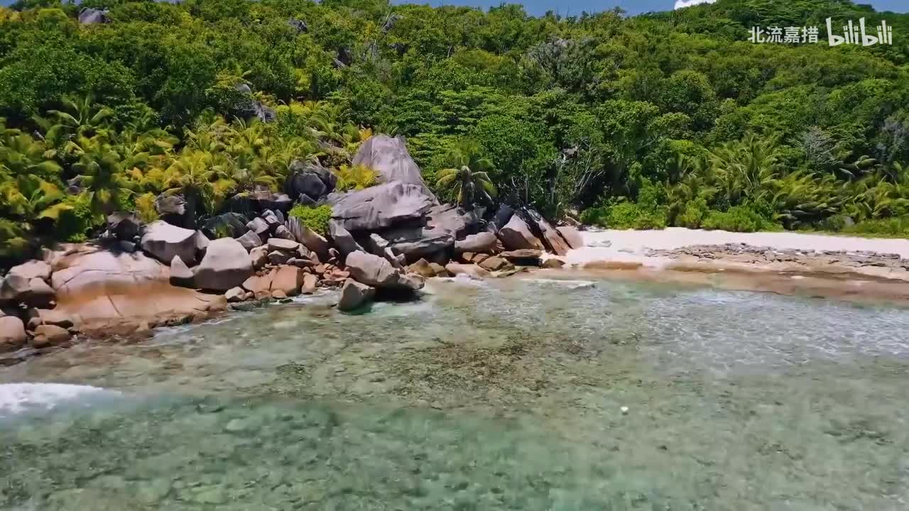 35.乘风破浪 - 金志文
