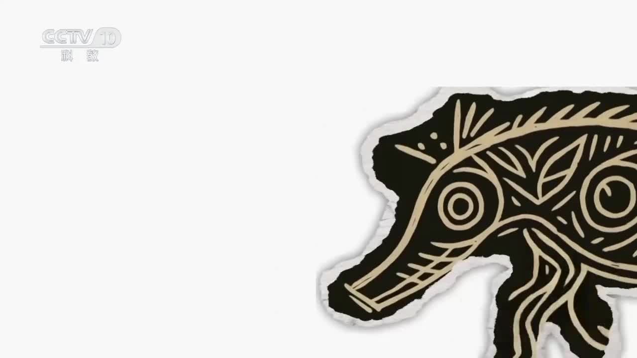 《动物驯化简史》蚕：5000年不解之缘 蚕的一生仅有56天 却与中国人默契配合了至少5000年【CCTV纪录】