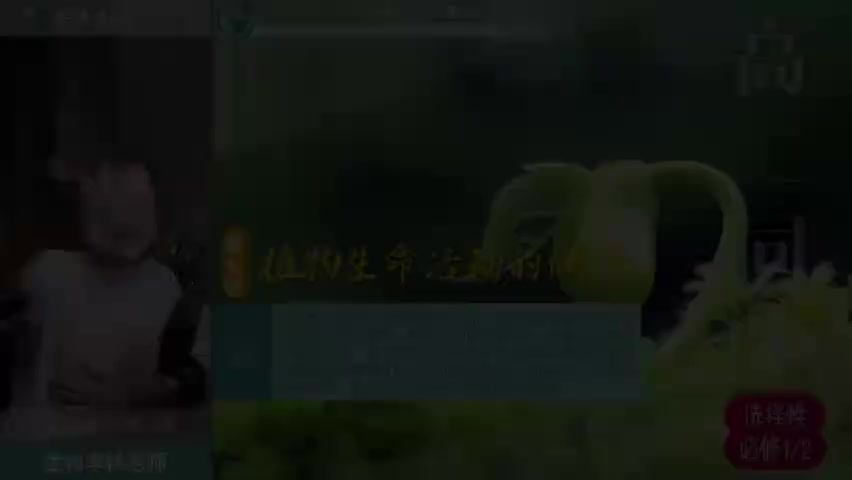 12-15.15.第7讲_刷题课_植物生命活动的调节(Av114816874188949,P15)