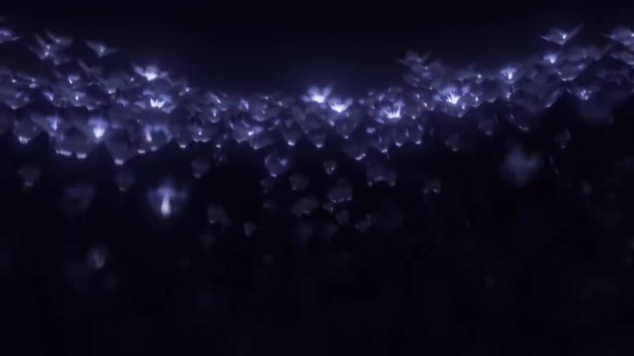 第三十一集 珂莱塔