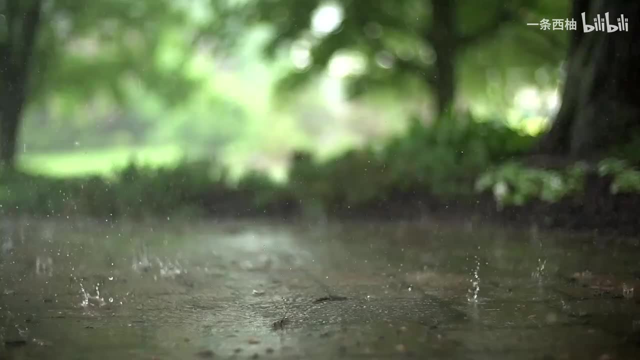 雨中氛围感 (1)