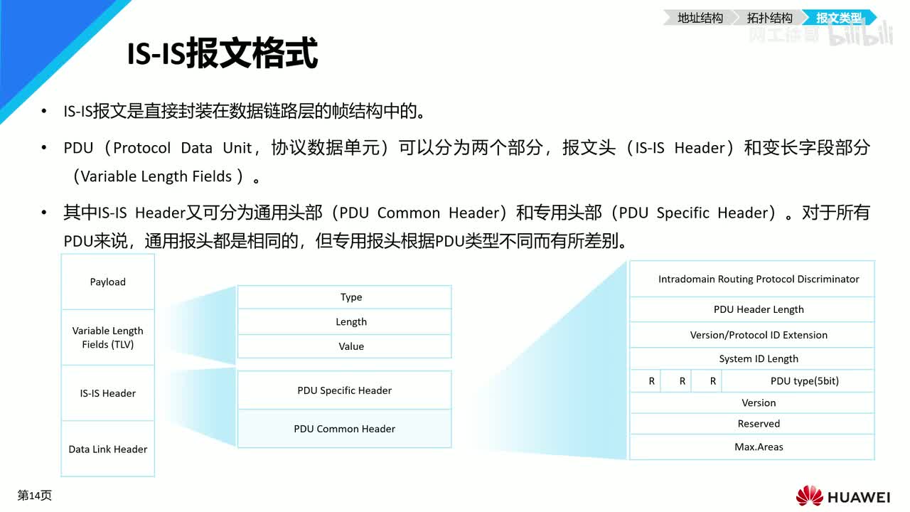 HCIP-63：IS-IS基本概念（报文类型）