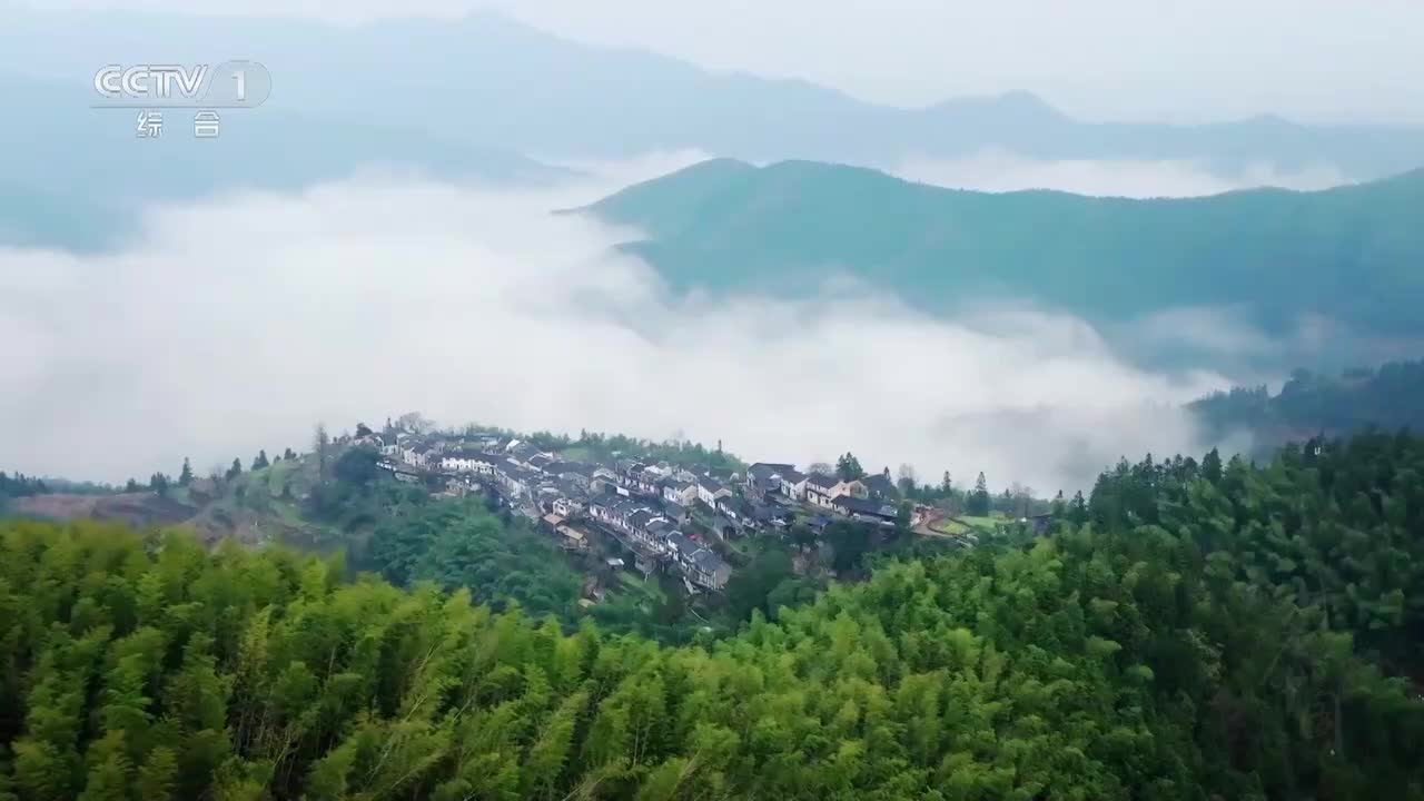 《村庄里的中国》02 农桑稼穑：探寻中国人与土地之间血脉相依的共生关系 他们在这片大地上持续耕耘 汗水和足迹浇灌出壮丽的沃野千里【CCTV纪录】_1080p