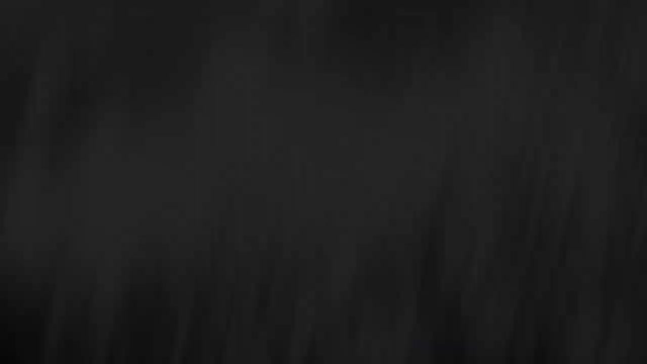 HONOR 70 5G 系列广告（3）