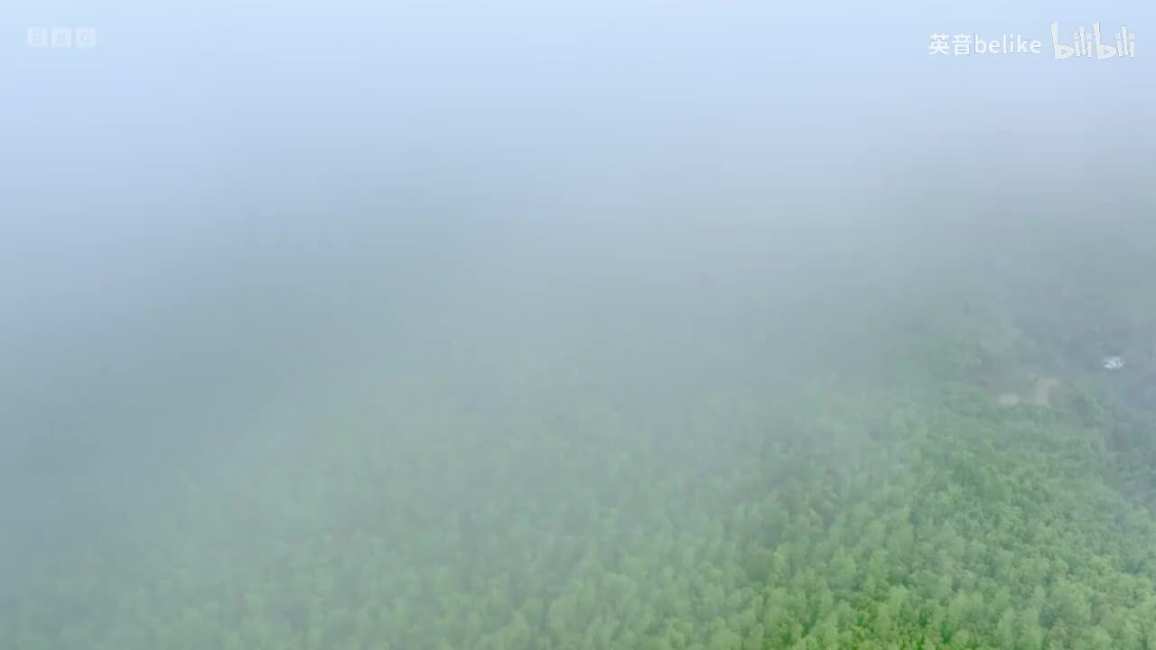 【中英文字幕】China's Greatest Treasures - Series 2- 3. The Art of Tea - BBC iPlayer
