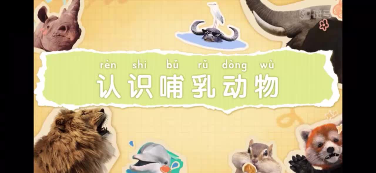 01-认识哺乳动物