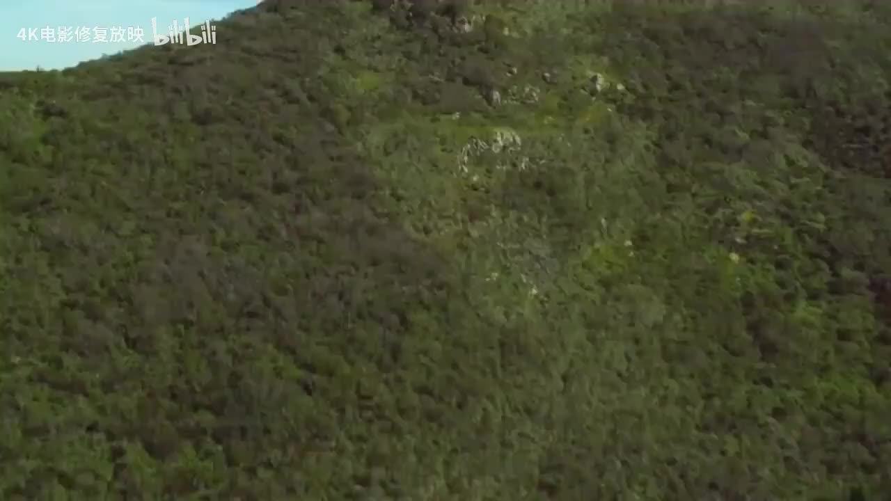 感谢观看，制作不易，点点关注，永不迷路！