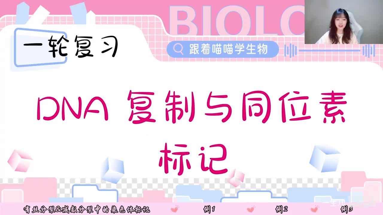 难点透析 DNA复制与同位素标记