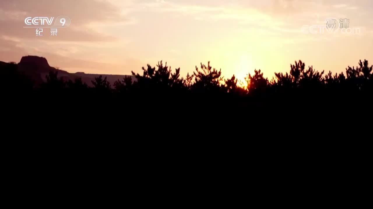 【第一集】武州佛缘