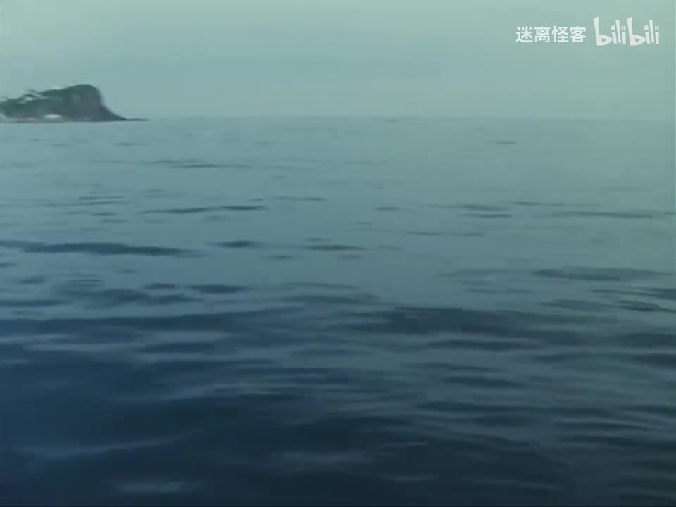 19.怪人泡沫螃蟹北海道现身