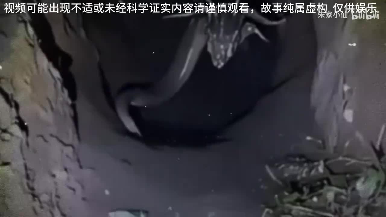 749局处理青海湖一条活着的黑龙