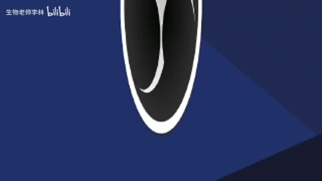 43.探究性实验.ev1