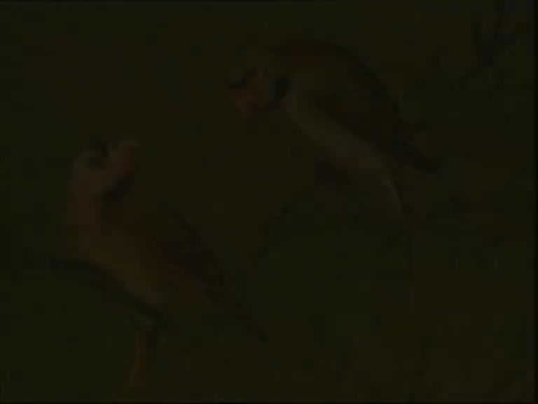 《水浒记 借茶》