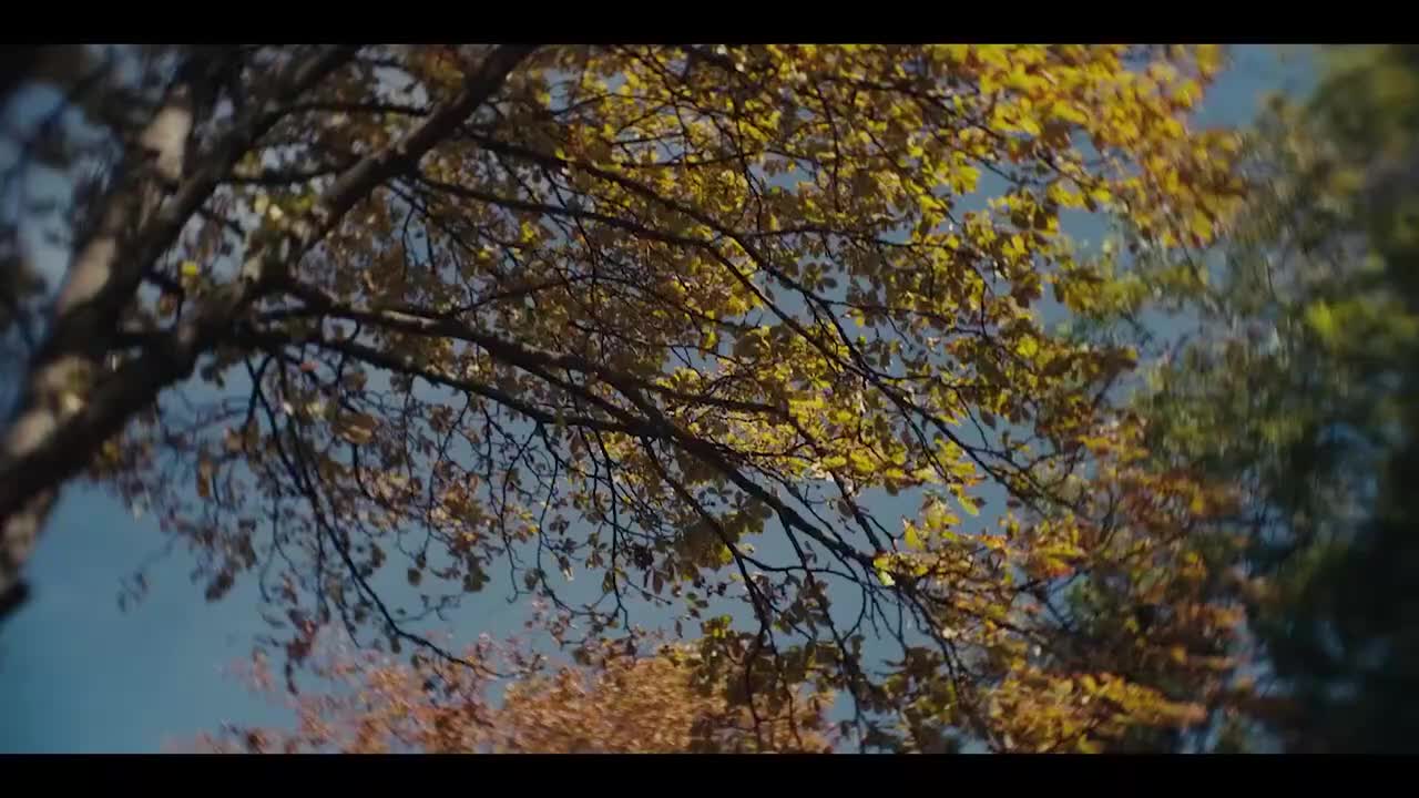 ——D3宣传片——