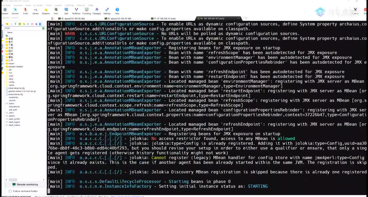 第46天：常见历史漏洞-Springboot