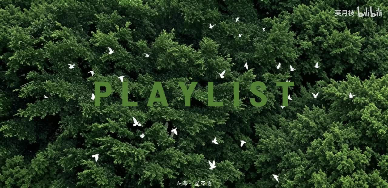 【Playlist】“风穿绿林 鸽渡清欢”丨纯音乐 雨声丨工作 放松 学习丨图书馆 自习室丨自律 耳机丨歌单 通勤 轻音乐丨白噪音 化妆 洗澡 写作