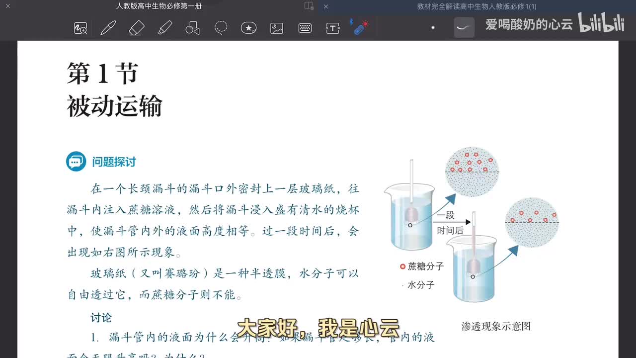 4.1 被动运输（第二课时）