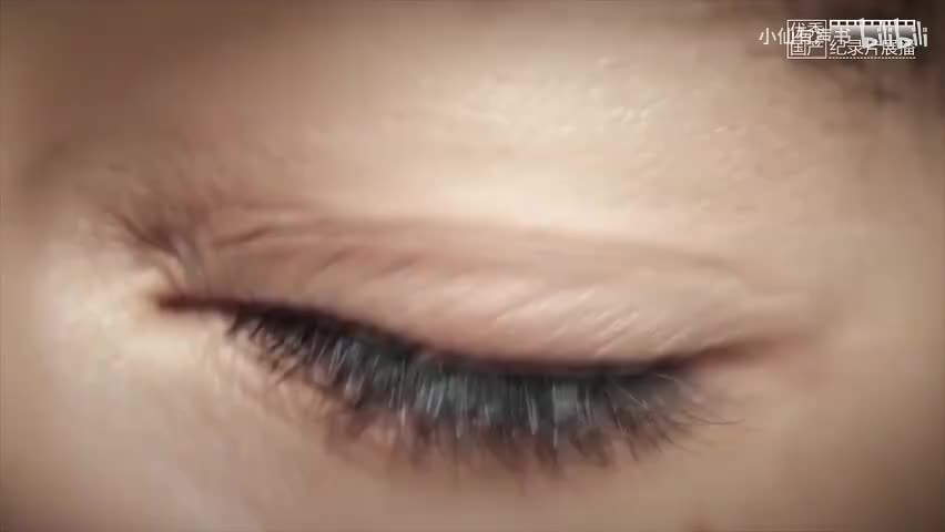 第二集 无用之用（下）