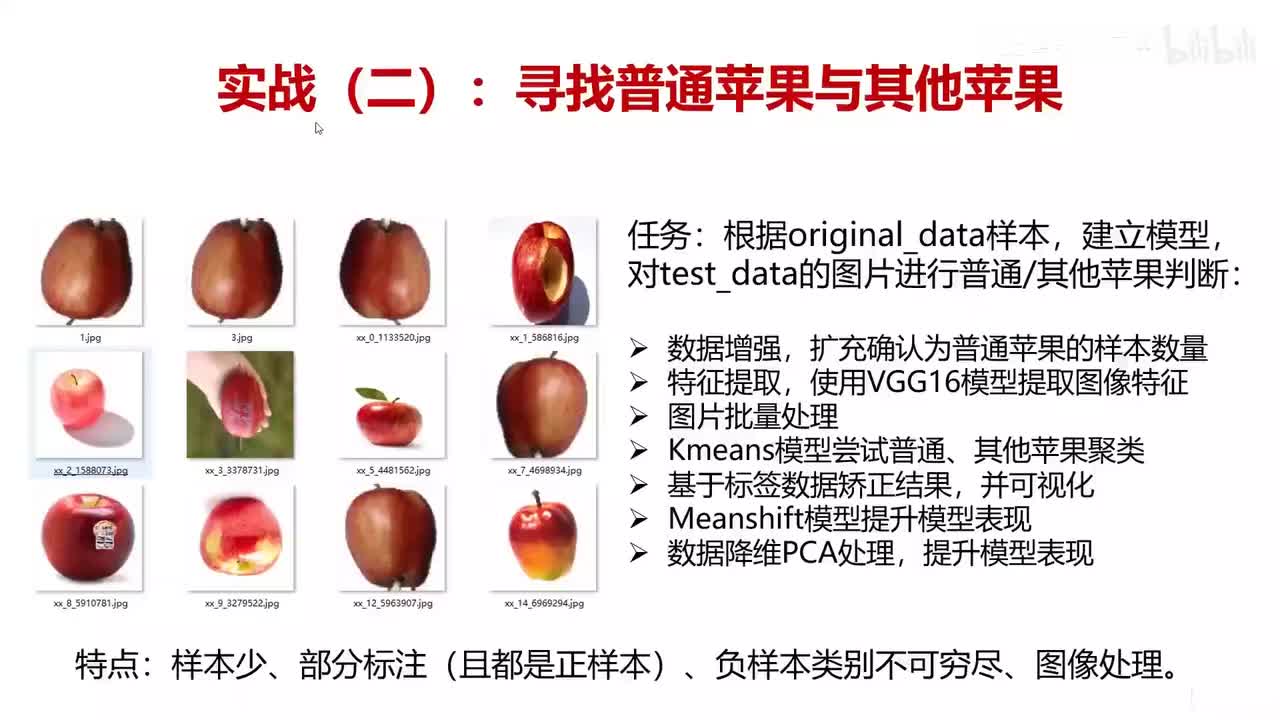 64.机器+深度学习实现少样本苹果分类（一）