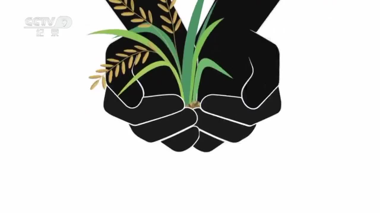 【第六集】这也是技能