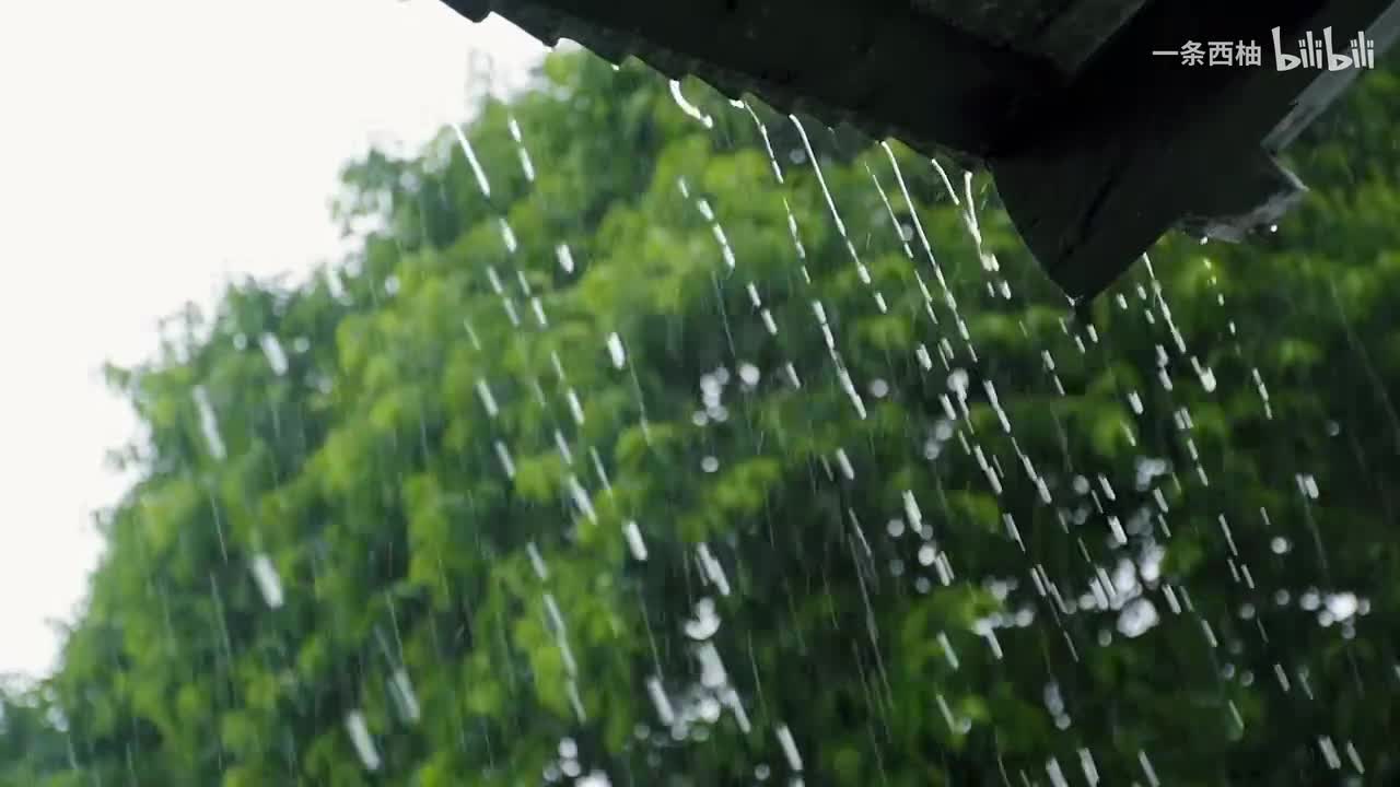 雨中氛围感 (58)