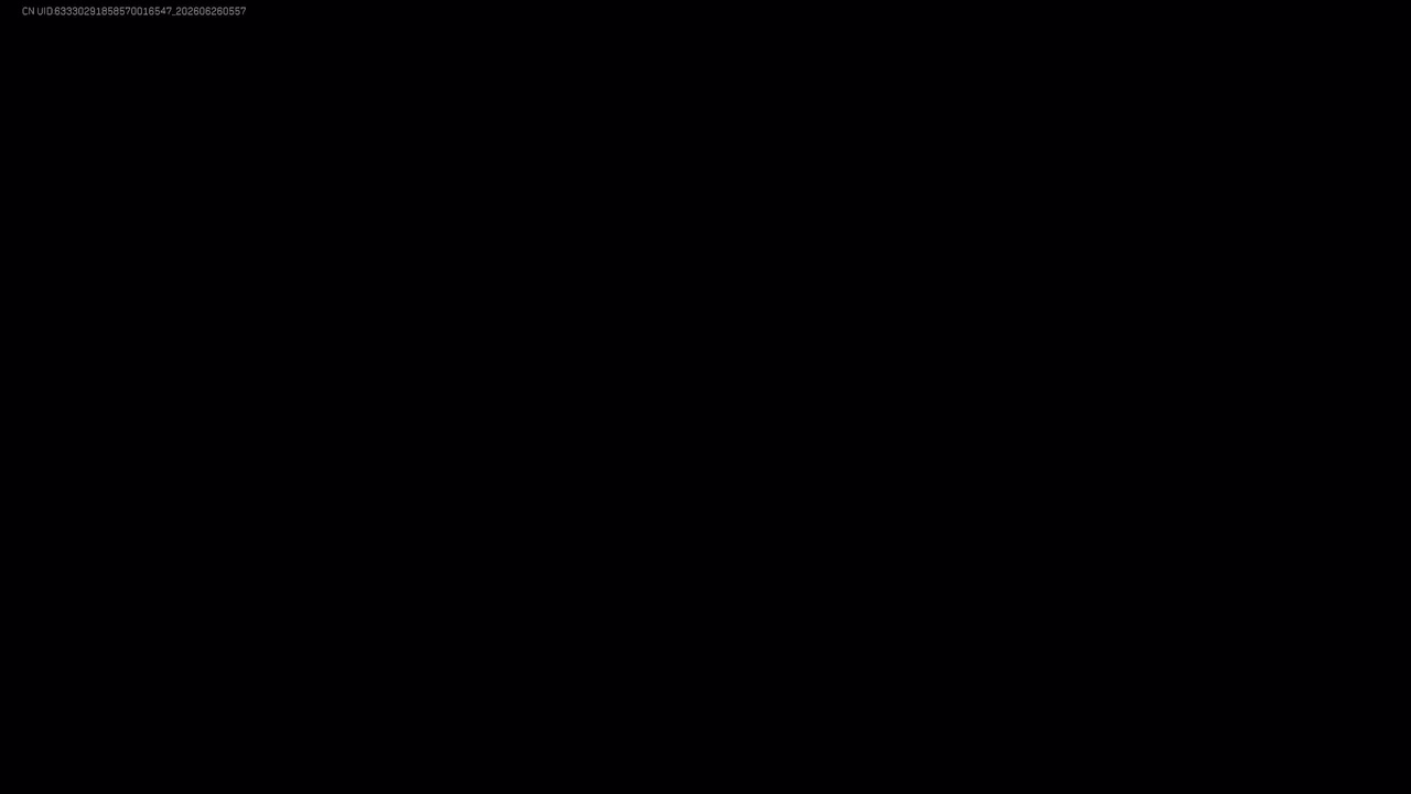 曼德尔砖·群星