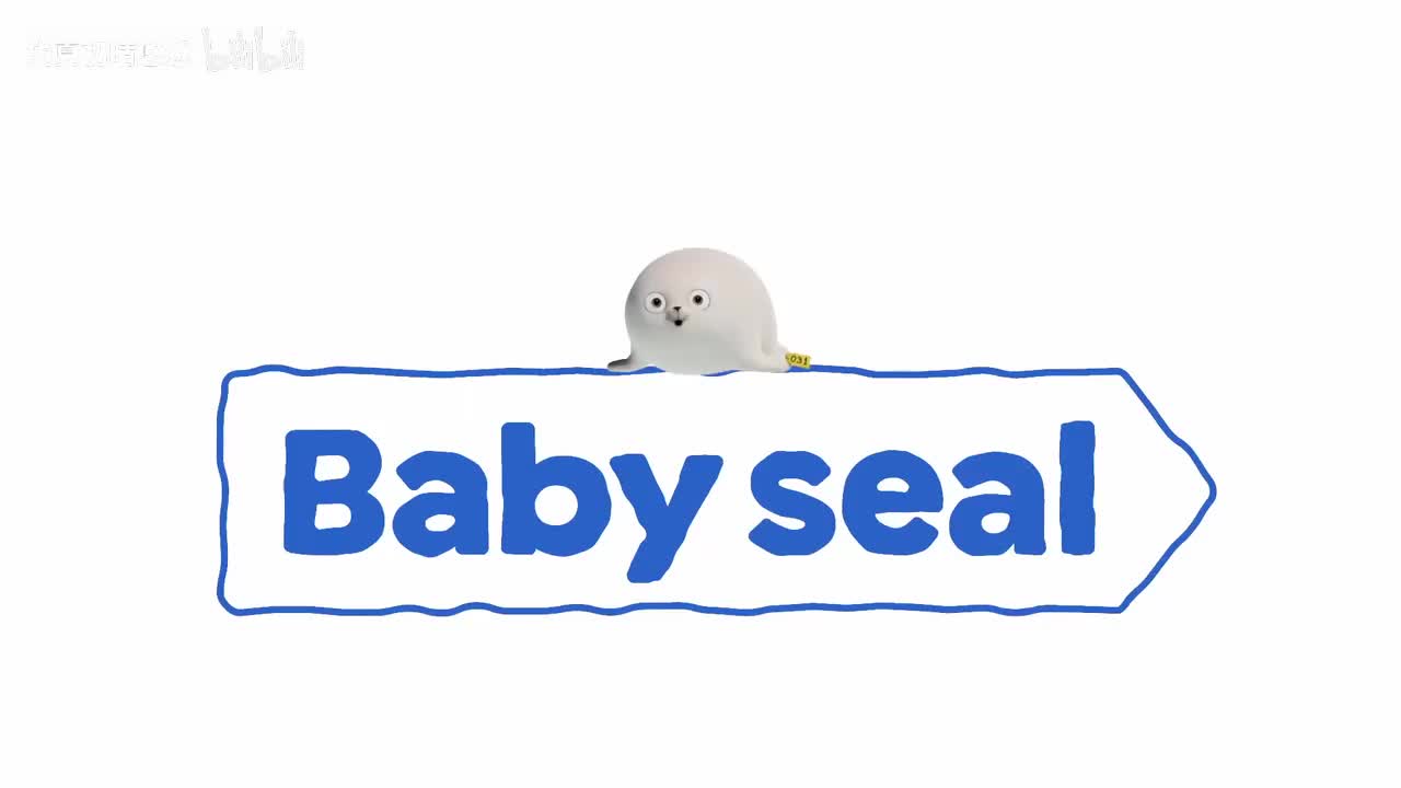好笑又有点难过，但结尾有点暖｜SEALOOK特辑