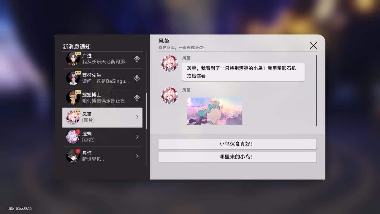 【短信】风堇《看鸟》（...嗯？