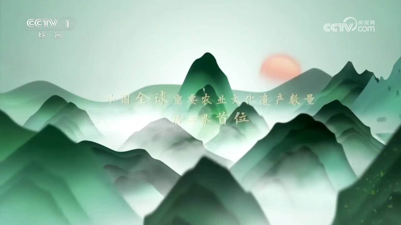 第8集 陕西佳县古枣园