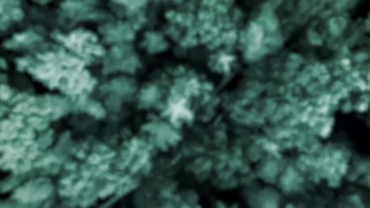 第1集：因水而生