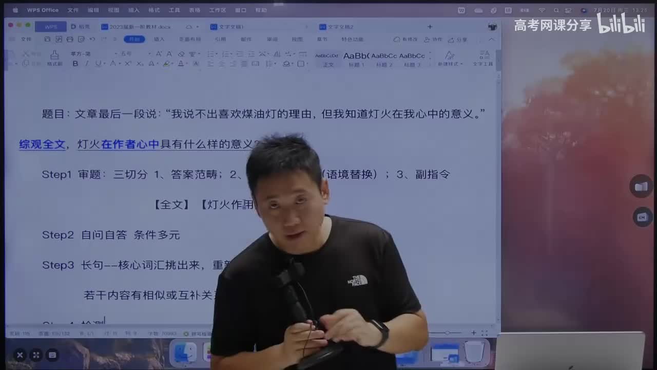 文学类文本阅读（二）