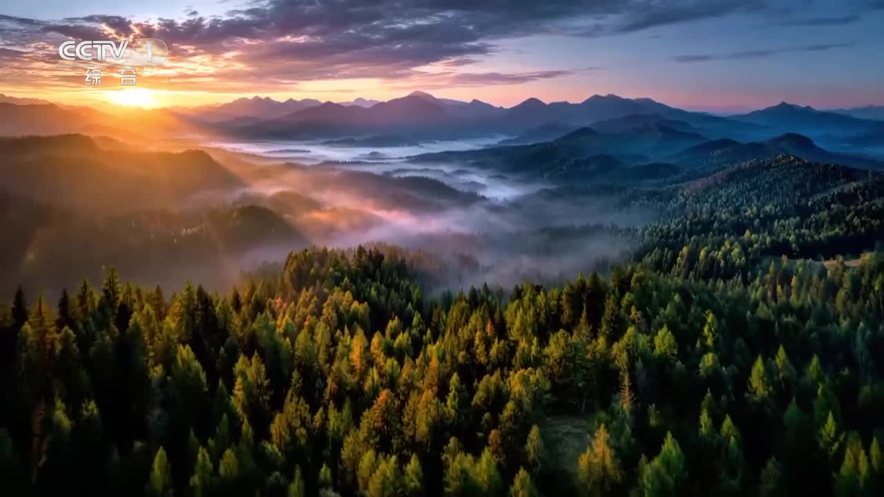 《自然中国之山水工程》02 不负青山：三千里大秦岭 守护华夏生态命脉【CCTV纪录】_1080p