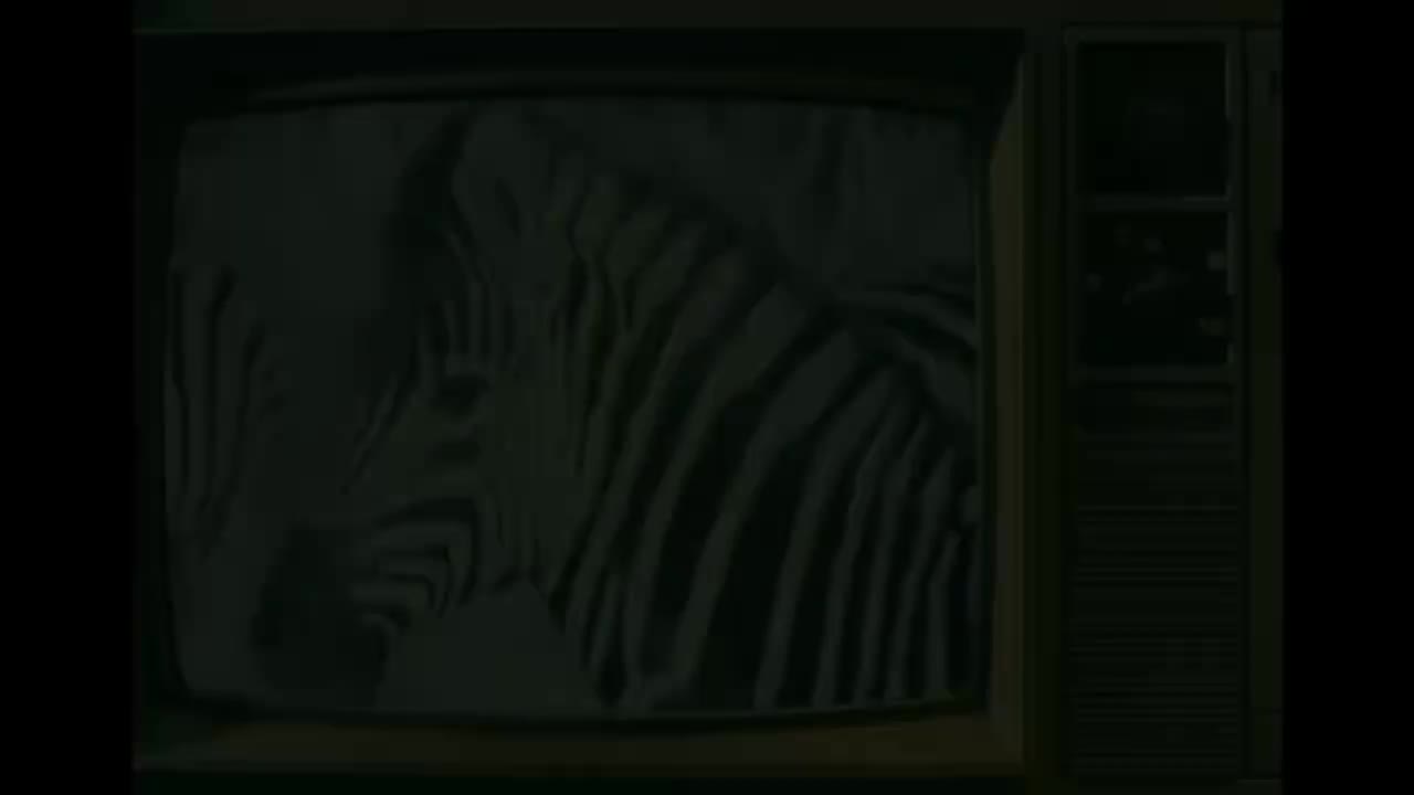 梦想发射计划 (Dream Launch)