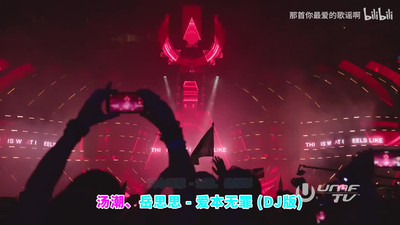 069. 爱本无罪 (DJ版) - 汤潮、岳思思