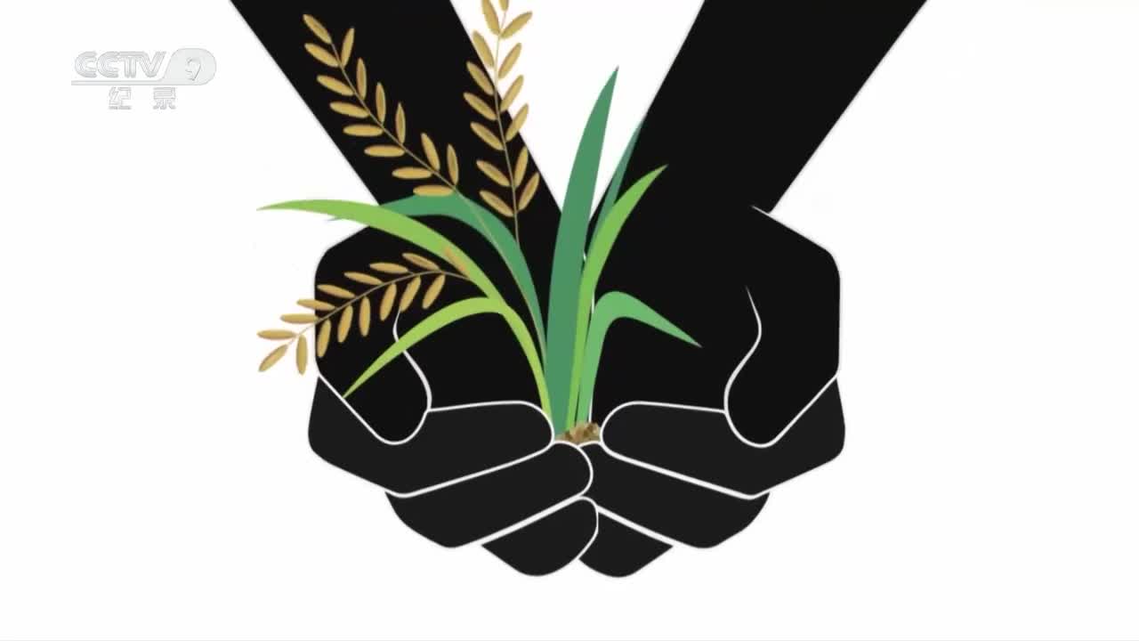 【第四集】给你一朵小红花