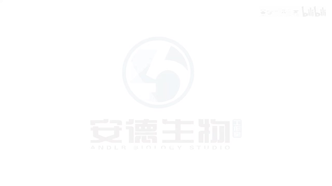 24.基因的表达