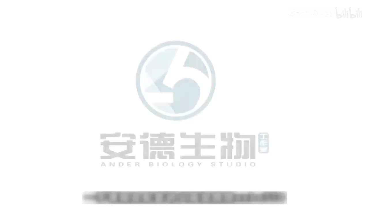 08.光合呼吸综合模型