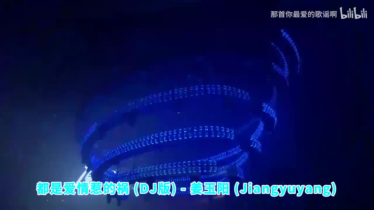 014. 都是爱情惹的祸 (DJ版) - 姜玉阳