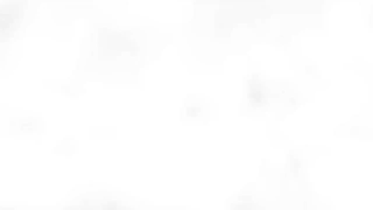 117-35【第13讲·③】枫树上的喜鹊·课外拓展