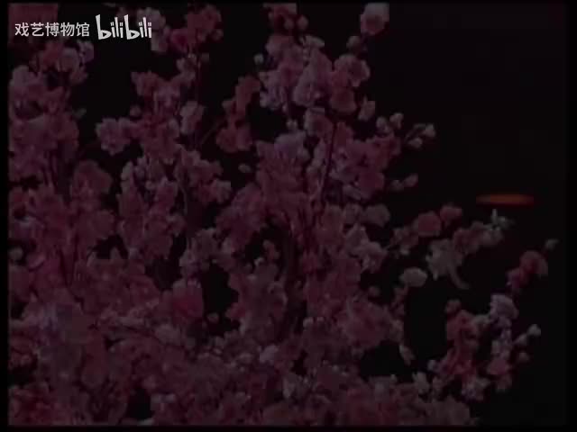 小帽《小看戏》闫学晶、董宝贵