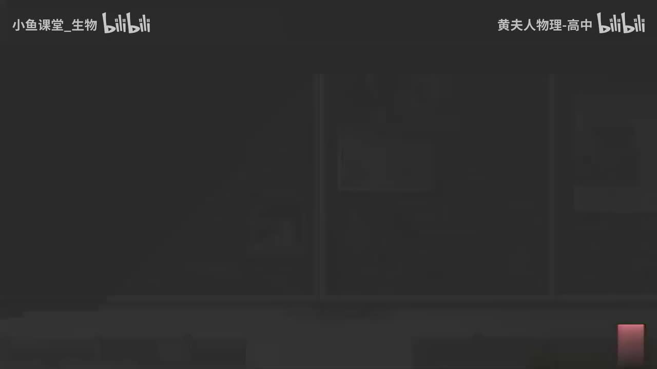 8-13 时间与位移的测量—认识和使用打点计时器